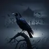 voidhawk's Avatar